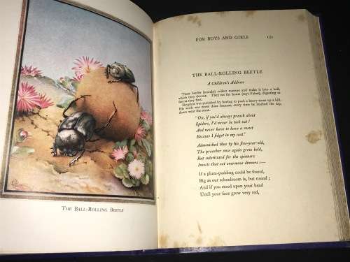 POEMS OF A SOUTH AFRICAN THE COLLECTED VERSE OF A. VINE HALL ILLUSTRATED VERSION
