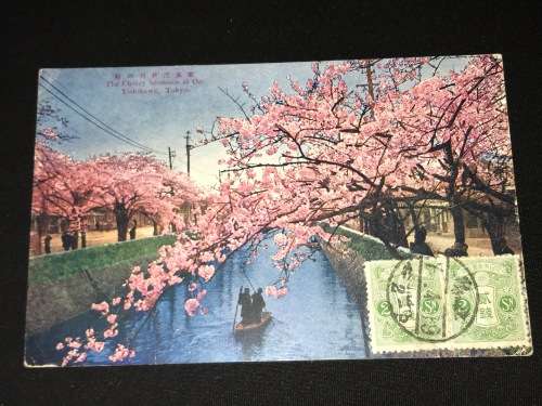 1919 CHERRY BLOSSOMS TOKYO JAPAN POSTCARD TO SEA POINT CAPE COLONY