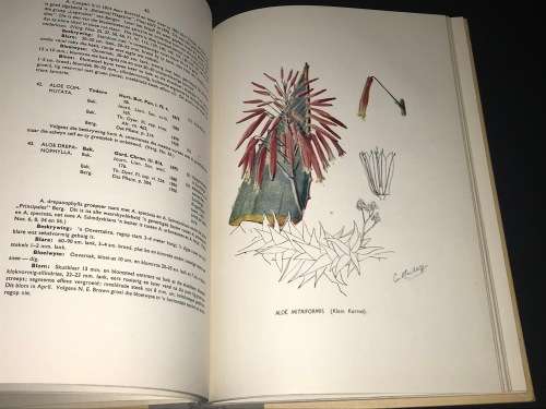 DIE AALWYNE VAN SUID-AFRIKA, SUIDES-AFRIKA, PORTUGEES OOS-AFRIKA, SWAZILAND,BASOETOLAND