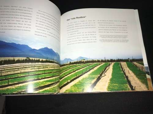 DAS ROOIBOS BUCH - DR REUTHER