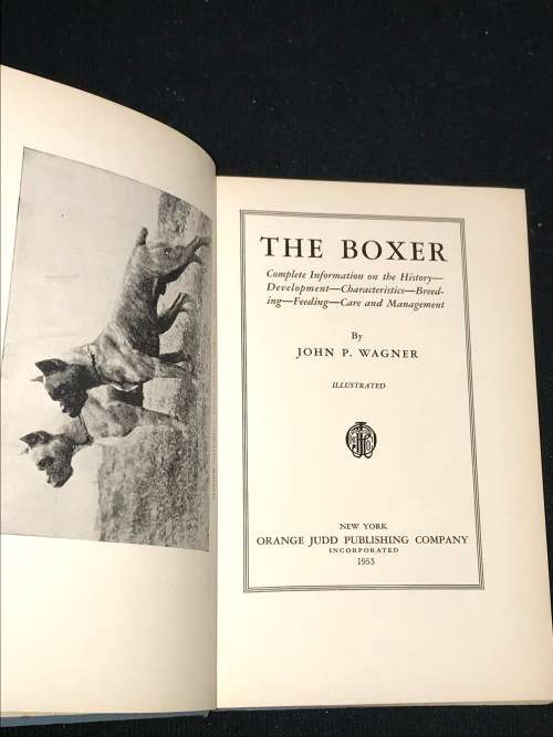 THE BOXER BY JOHN P. WAGNER