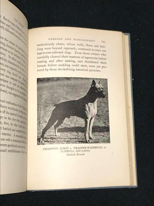 THE BOXER BY JOHN P. WAGNER