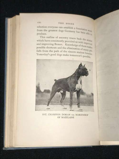 THE BOXER BY JOHN P. WAGNER