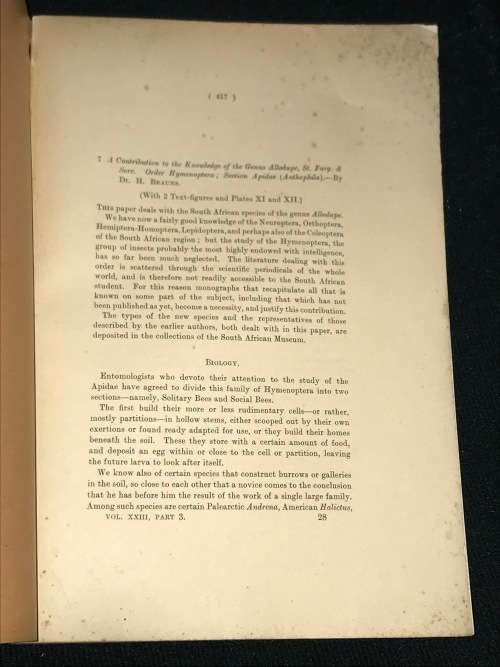 ANNALS OF THE SA MUSEUM VOLUME XXIII OCT 1926