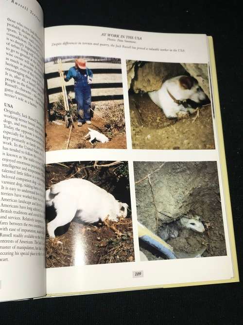 THE ULTIMATE JACK RUSSELL TERRIER EDITED BY MARY STROM