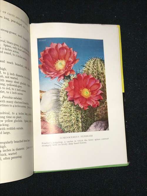 THE ABC OF CACTI AND SUCCULENTS BY W.E. SHEWELL COOPER
