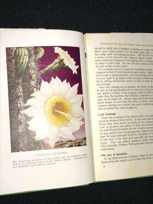 THE ABC OF CACTI AND SUCCULENTS BY W.E. SHEWELL COOPER