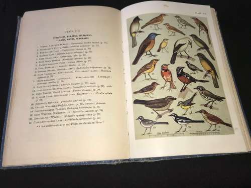 FIRST GUIDE TO SOUTH AFRICAN BIRDS BY LEONARD GILL 1936