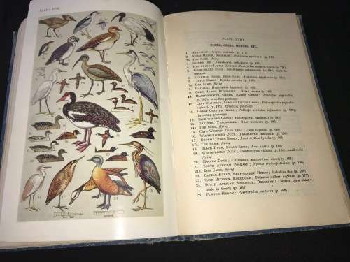 FIRST GUIDE TO SOUTH AFRICAN BIRDS BY LEONARD GILL 1936