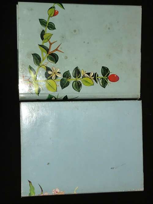 WILD FLOWERS OF NATAL BY JANET M. GIBSON INLAND & COASTAL REGION 2 VOLUMES SIGNED