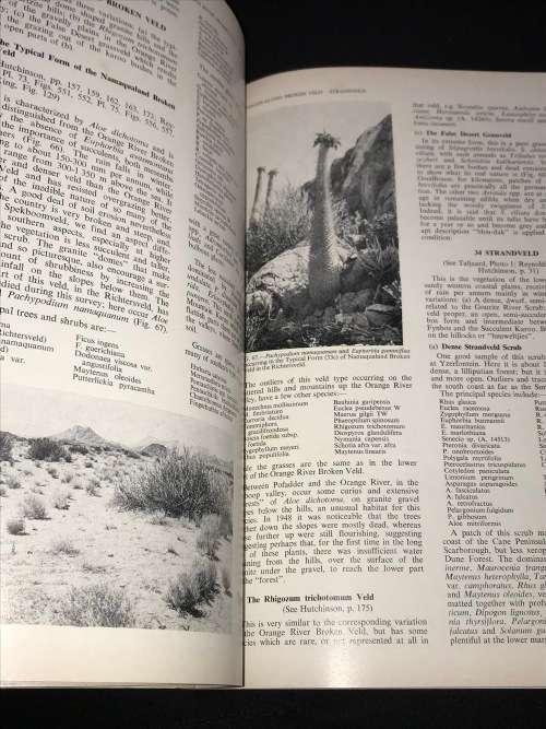 VELD TYPES OF SOUTH AFRICA - J.P.H. ADCOCKS MEMOIRS OF THE BOTANICAL SURVEY OF SOUTH AFRICA