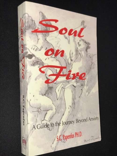 SOUL ON FIRE A GUIDE TO THE JOURNEY BEYOND ANXIETY BY S.C. PAPENFUS