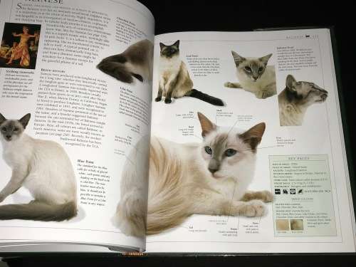 THE ENCYCLOPEDIA OF THE CAT BY DR BRUCE FOGLE DK BOOKS