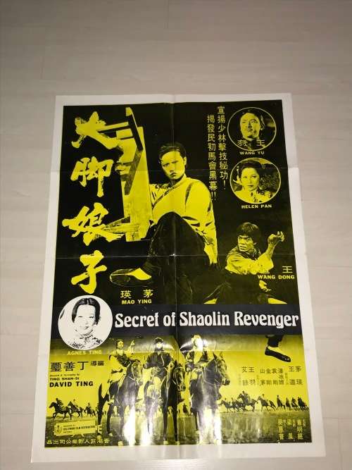 SECRET OF SHAOLIN REVENGER POSTER HOLLYWOOD FILM DISTRIBUTORS PRETORIA