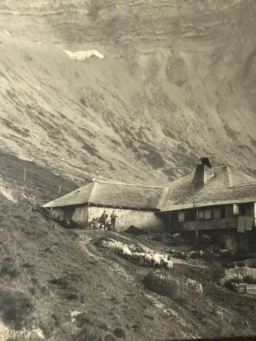 ANTIQUE ALPS MOUNTAIN LIVING ORIGINAL PHOTO 1924 SIGNED BY PHOTOGRAPHER