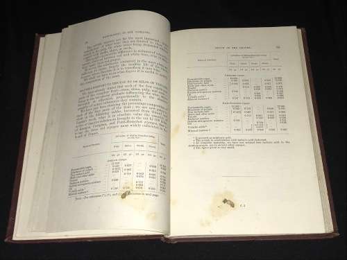 WINE MAKING IN HOT CLIMATES BY L. ROOS 1900 VICTORIA AUSTRALIA