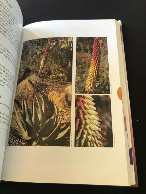 GUIDE TO ALOES OF SOUTH AFRICA BY BEN-ERIK VAN WYK & GIDEON SMITH