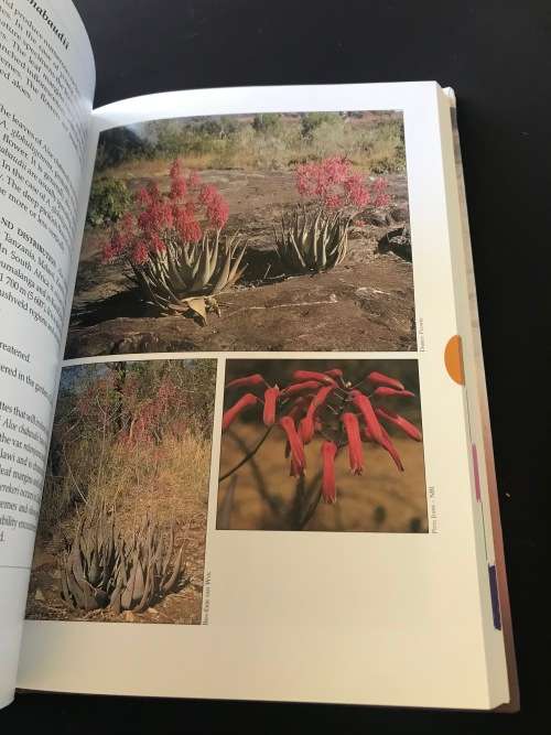 GUIDE TO ALOES OF SOUTH AFRICA BY BEN-ERIK VAN WYK & GIDEON SMITH
