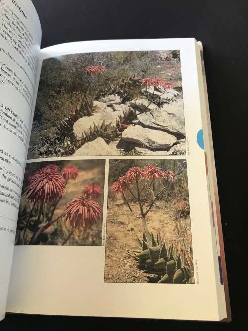 GUIDE TO ALOES OF SOUTH AFRICA BY BEN-ERIK VAN WYK & GIDEON SMITH