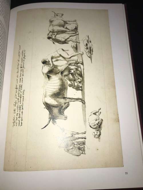 THE KHOIKHOI AT THE CAPE OF GOOD HOPE SEVENTEENTH CENTURY DRAWINGS IN THE SA LIBRARY