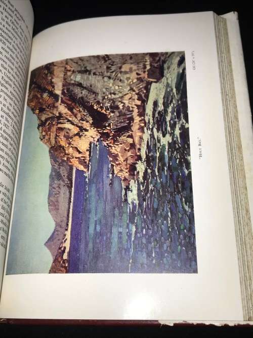 GWELO GOODMAN SOUTH AFRICAN ARTIST BY JOYCE NEWTON THOMPSON SIGNED BY AUTHOR