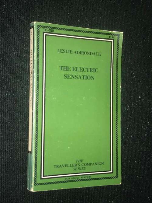 THE ELECTRIC SENSATION BY LESLIE ADIRONDACK - THE TRAVELLER'S COMPANION SERIES