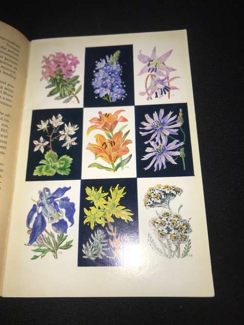 MOUNTAINEERING IN SWITZERLAND VINTAGE BOOKLET