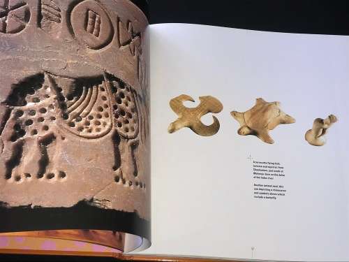 THE ART OF INDIA BY NIGEL CAWTHORNE