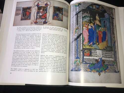 THE ILLUMINATED MANUSCRIPT BY JANET BACKHOUSE