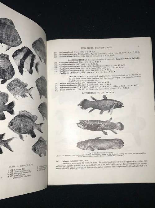 FISHES OF SEYCHELLES BY PROF J.L.B. SMITH and MARGARET M. SMITH