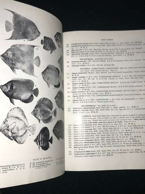 FISHES OF SEYCHELLES BY PROF J.L.B. SMITH and MARGARET M. SMITH