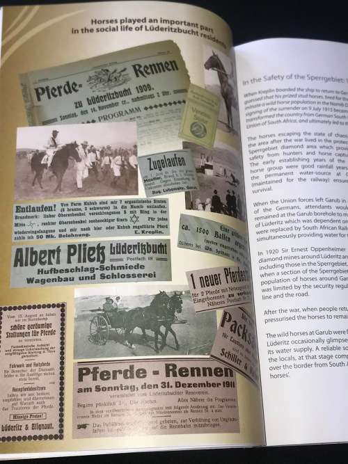 WILD HORSES IN THE NAMIB DESERT AN EQUINE BIOGRAPHY - MANFRED GOLDBECK AND TELANE SWILLING INSCRIBED