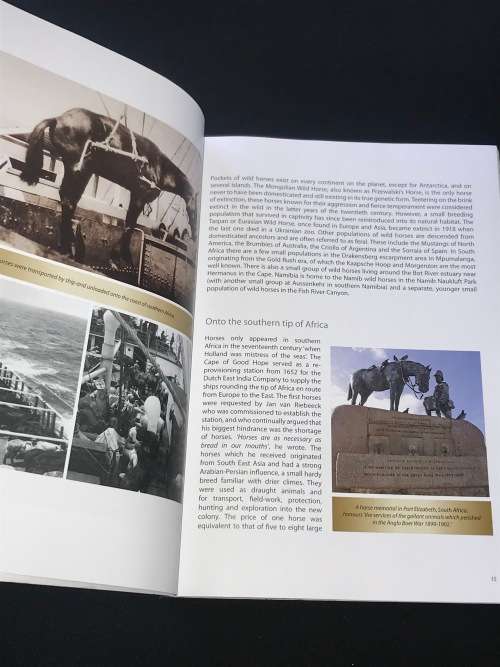 WILD HORSES IN THE NAMIB DESERT AN EQUINE BIOGRAPHY - MANFRED GOLDBECK AND TELANE SWILLING INSCRIBED