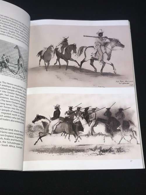 WILD HORSES IN THE NAMIB DESERT AN EQUINE BIOGRAPHY - MANFRED GOLDBECK AND TELANE SWILLING INSCRIBED