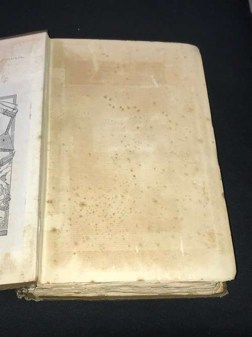 BUDDHISM IN CHRISTENDOM OR JESUS THE ESSENE BY ARTHUR LILLIE 1887