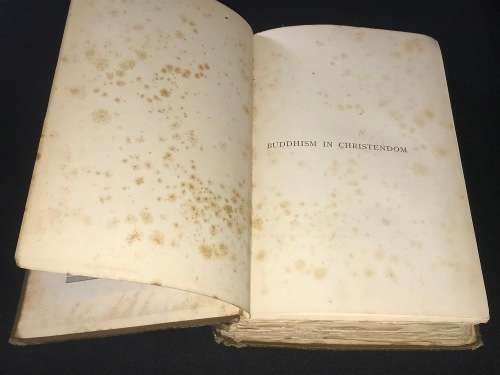 BUDDHISM IN CHRISTENDOM OR JESUS THE ESSENE BY ARTHUR LILLIE 1887