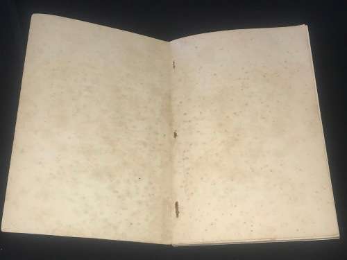 REMINISCENCES OF THE SIEGE OF LADYSMITH BY W.H. SMITH