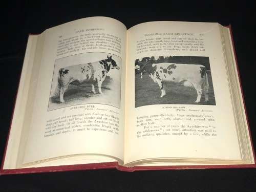 HAVE DOMINION A PRACTICAL HANDBOOK ON ECONOMIC FARM LIVE STOCK WITH SPECIAL REFERENCE TO S AFRICA