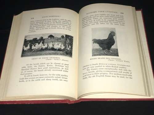 HAVE DOMINION A PRACTICAL HANDBOOK ON ECONOMIC FARM LIVE STOCK WITH SPECIAL REFERENCE TO S AFRICA