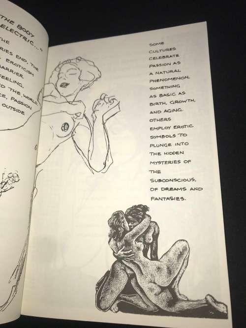 EROTICA FOR BEGINNERS BY ERROL SELKIRK