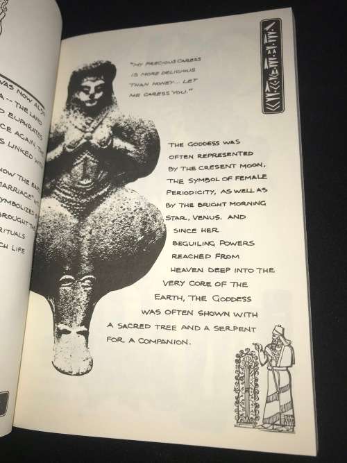 EROTICA FOR BEGINNERS BY ERROL SELKIRK