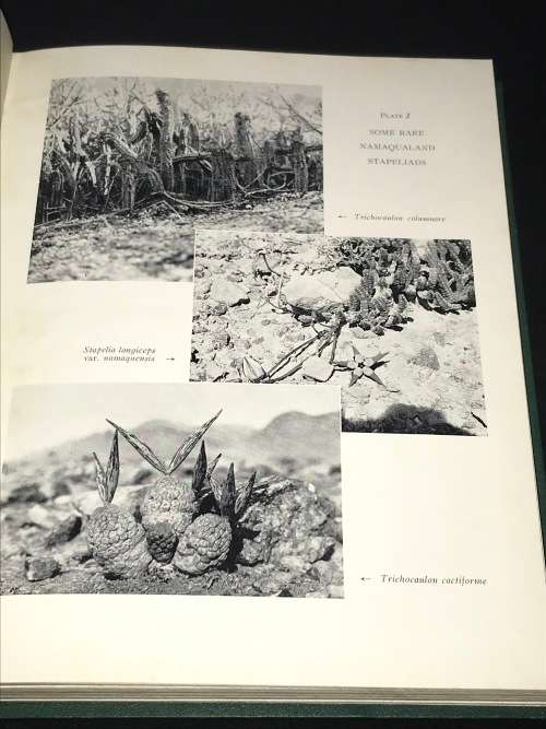 JOURNAL OF THE BOTANICAL SOCIETY OF SOUTH AFRICA 1957 - 1962