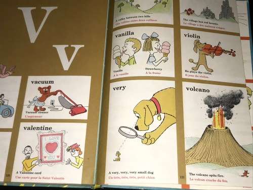THE CAT IN THE HAT BEGINNER BOOK DICTIONARY IN FRENCH