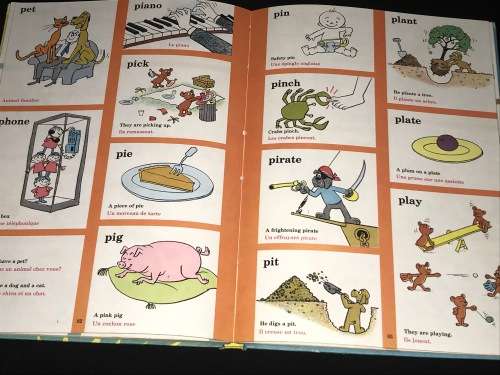 THE CAT IN THE HAT BEGINNER BOOK DICTIONARY IN FRENCH