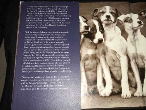 NOBLE HOUNDS AND DEAR COMPANIONS THE ROYAL PHOTOGRAPH COLLECTION BY SOPHIE GORDON