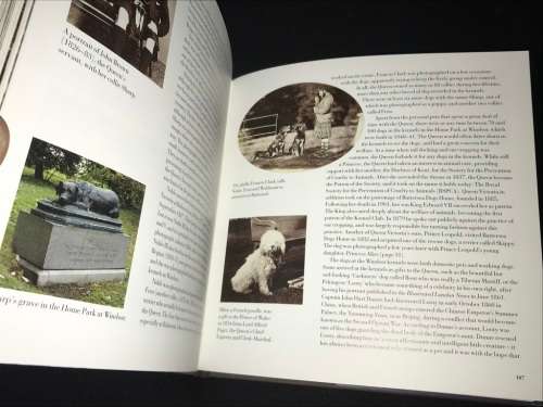 NOBLE HOUNDS AND DEAR COMPANIONS THE ROYAL PHOTOGRAPH COLLECTION BY SOPHIE GORDON