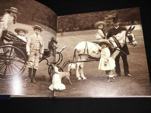 NOBLE HOUNDS AND DEAR COMPANIONS THE ROYAL PHOTOGRAPH COLLECTION BY SOPHIE GORDON