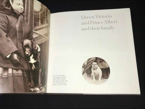 NOBLE HOUNDS AND DEAR COMPANIONS THE ROYAL PHOTOGRAPH COLLECTION BY SOPHIE GORDON