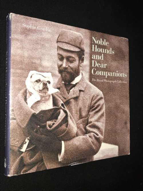 NOBLE HOUNDS AND DEAR COMPANIONS THE ROYAL PHOTOGRAPH COLLECTION BY SOPHIE GORDON