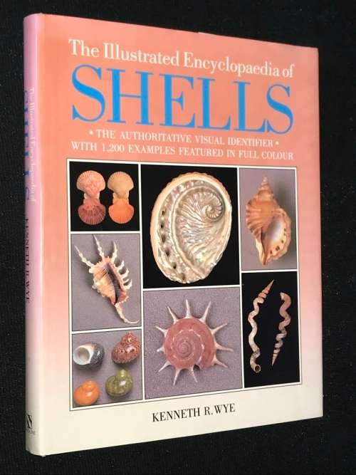 THE ILLUSTRATED ENCYCLOPEDIA OF SHELLS BY KENNETH R. WYE